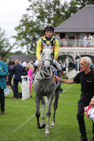 yr17082022r5-52 - Race 5 4.10pm Sky Bet Stayers Stakes