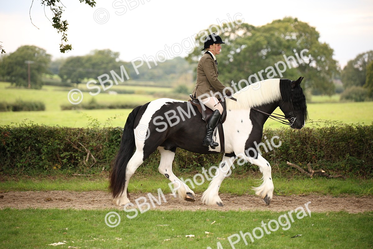 SBM_73426 - S68 - Traditional Cob Ridden