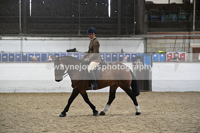 WJ7_3984 - Class 17 Ridden Cob