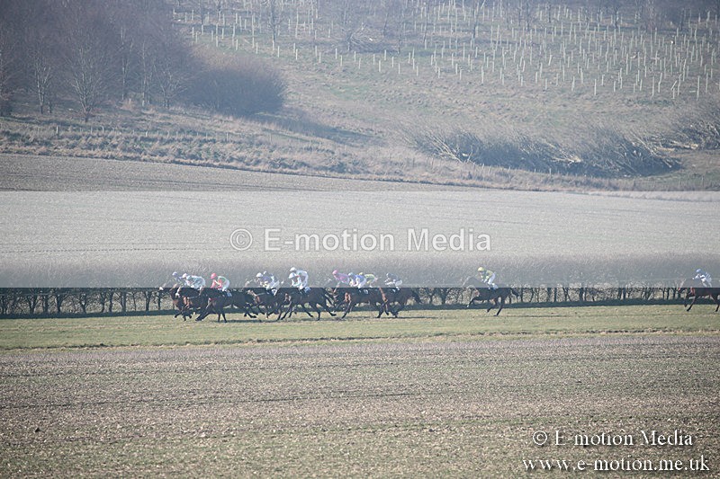 PtP 230219 82 - Vine & Craven Point-To-Point - Barbury 23/02/19
