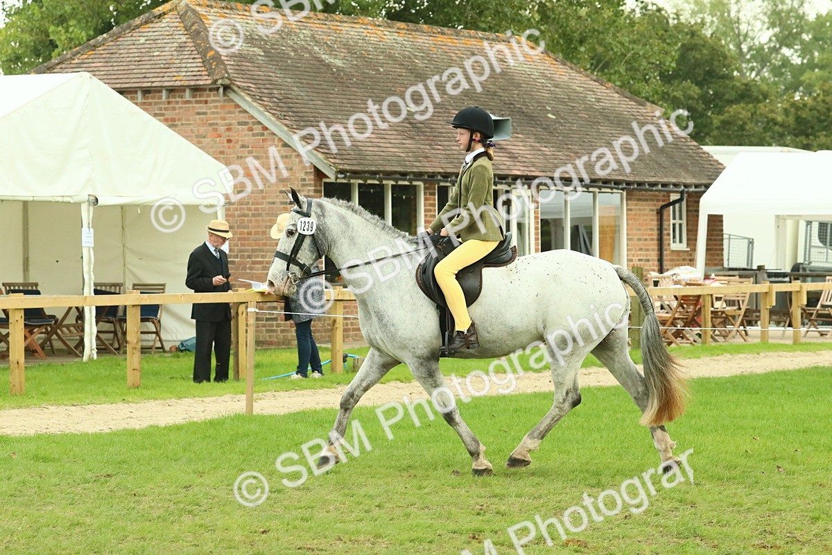 SBM_74049 - S 61 - Show Pony & Show Hunter Pony Ridden