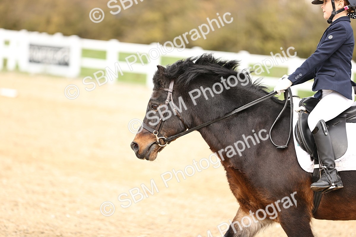 SBM_002630 - Class 5 - Prelim 1