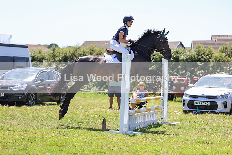 3E7A5506 - Class 9: Senior British Novice/90cm open