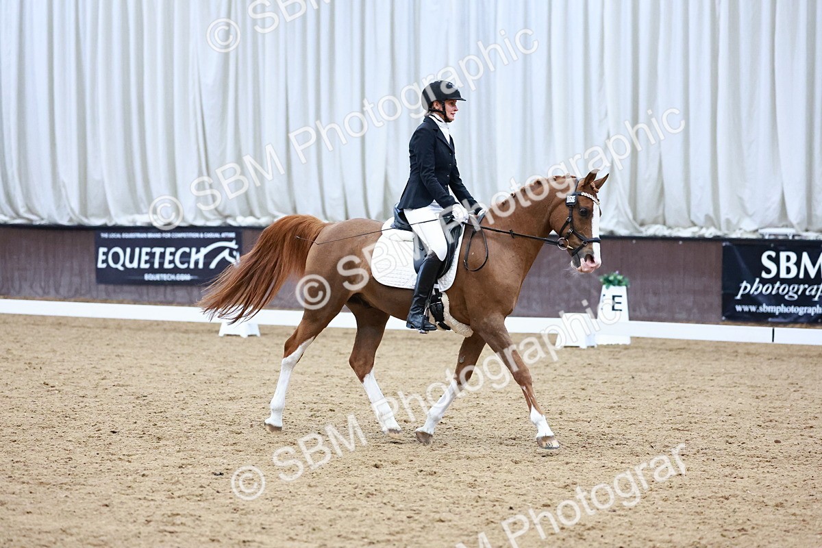 0B8A8077 - Class 5 - Novice 2