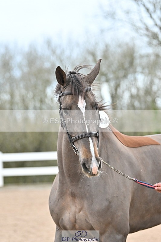 240417A-124320-00186 - 12pm to 1pm