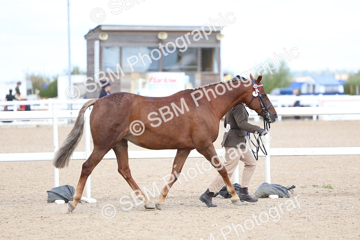 SBM_15450