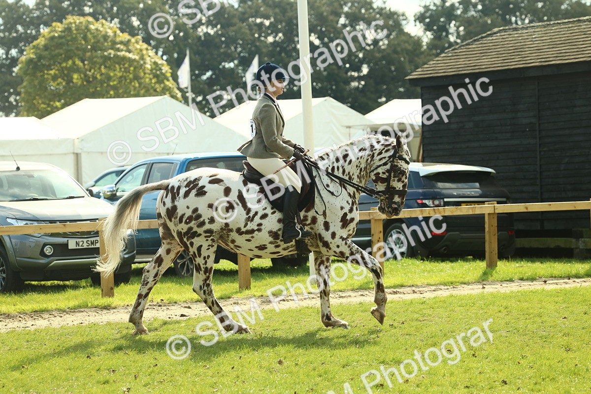 SBM_62468 - S62 - Foreign Breeds Ridden