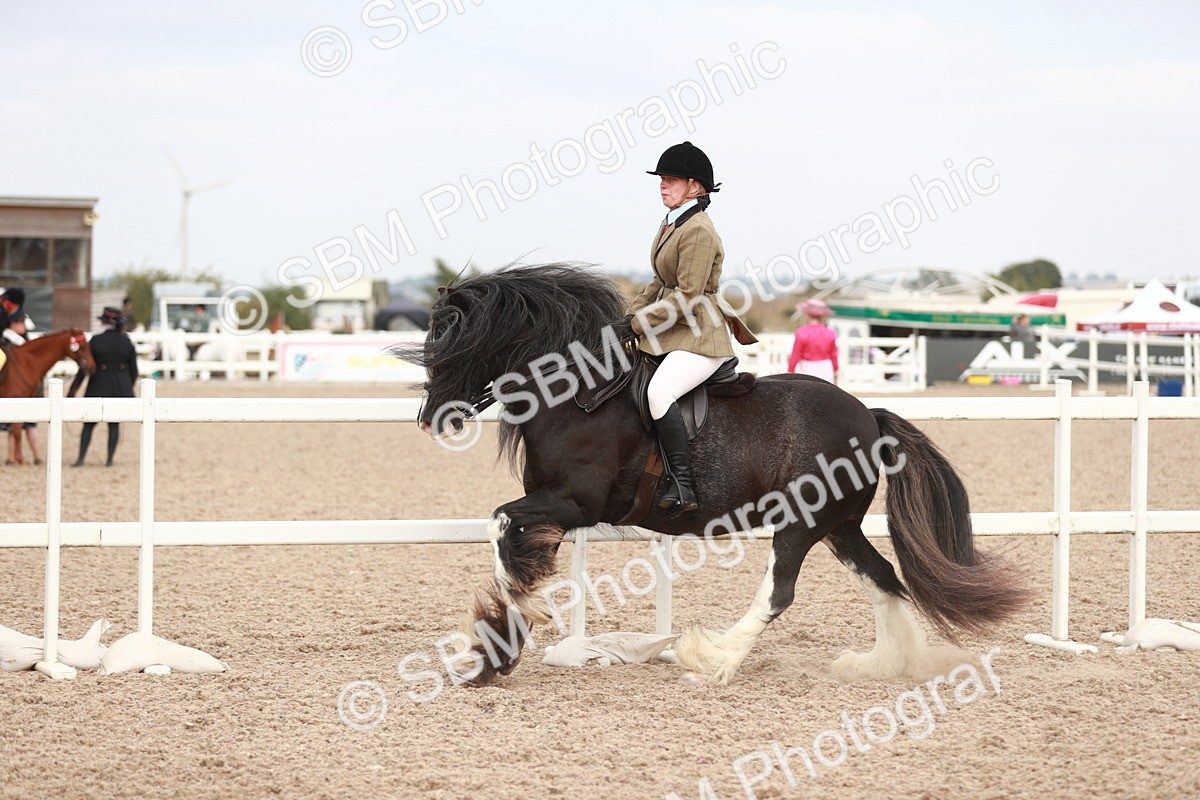 SBM_16694 - Class 214 Ridden Cob