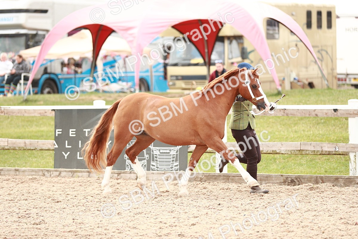 SBM_12477 - Class 207 IH M&M