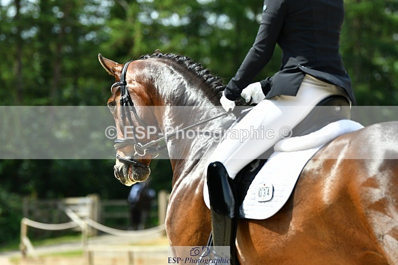 230623-114634-02126 - Cls 4 Novice 37Q Start to 12.35 break