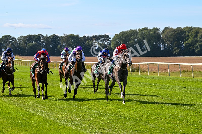 160924-Race 2-Magic Love-2633 - Race 2