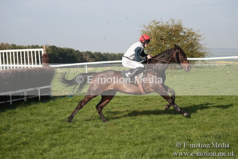 PtP 210418 619 - South & West Wilts Point-to-Point Larkhill 21/04/18