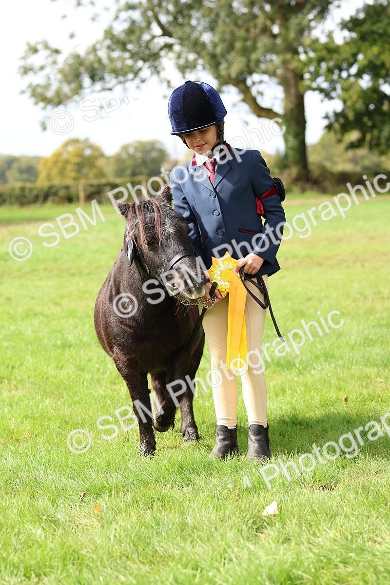 SBM_40800 - S25 -  Veteran In Hand