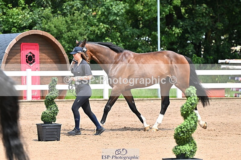 240718A-105302-01473 - Trot Up 12pm to 1pm