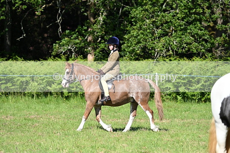 WJ7_0496 - Class 8 First Rally Pony