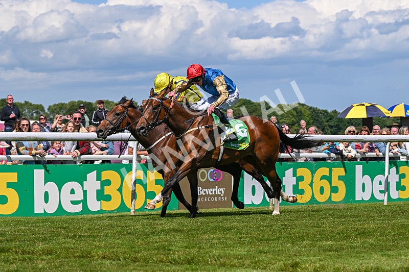 080624-Race 3-Shareholder-1037 - Race 3