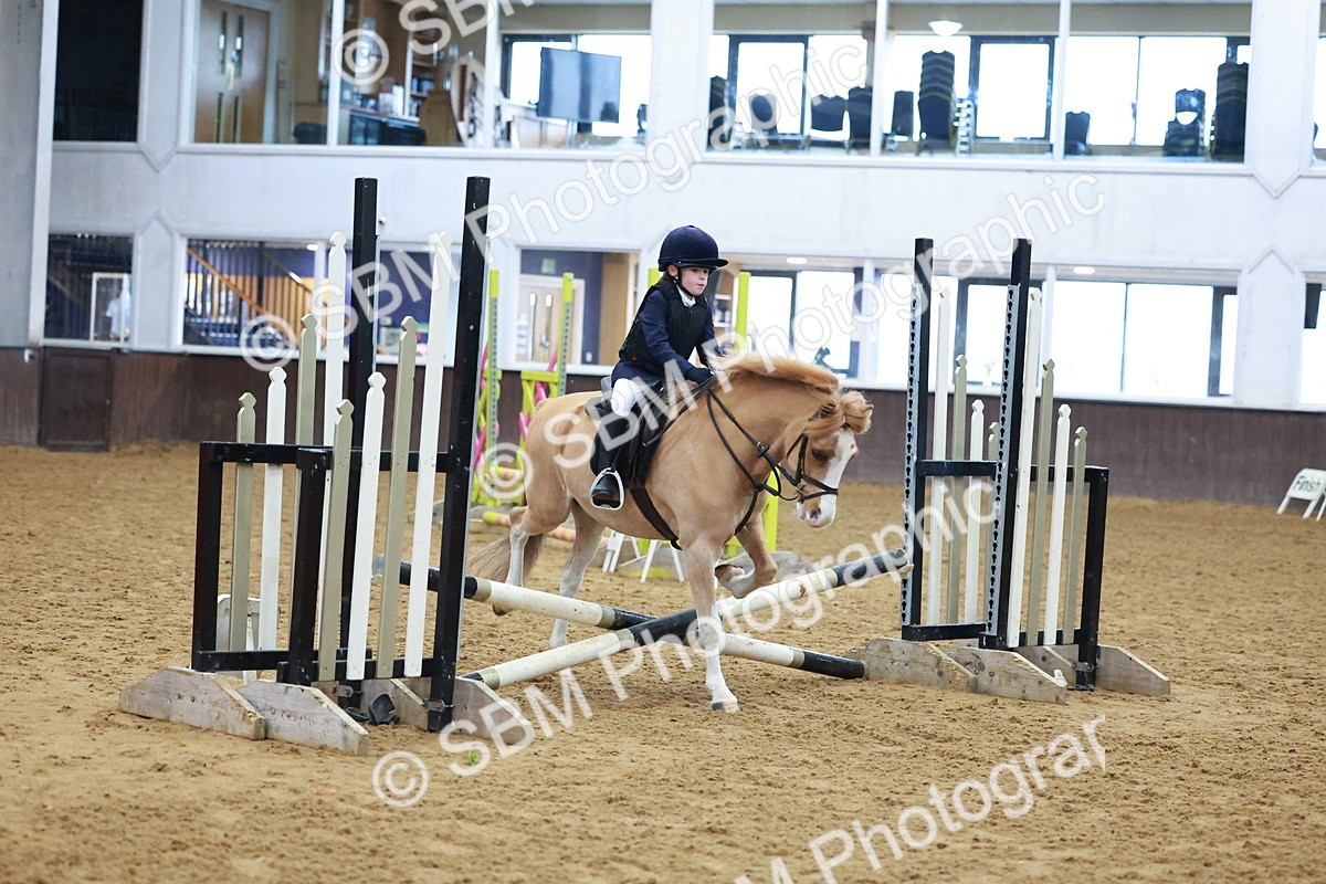 SBM_000294 - Class 19 - 50cm