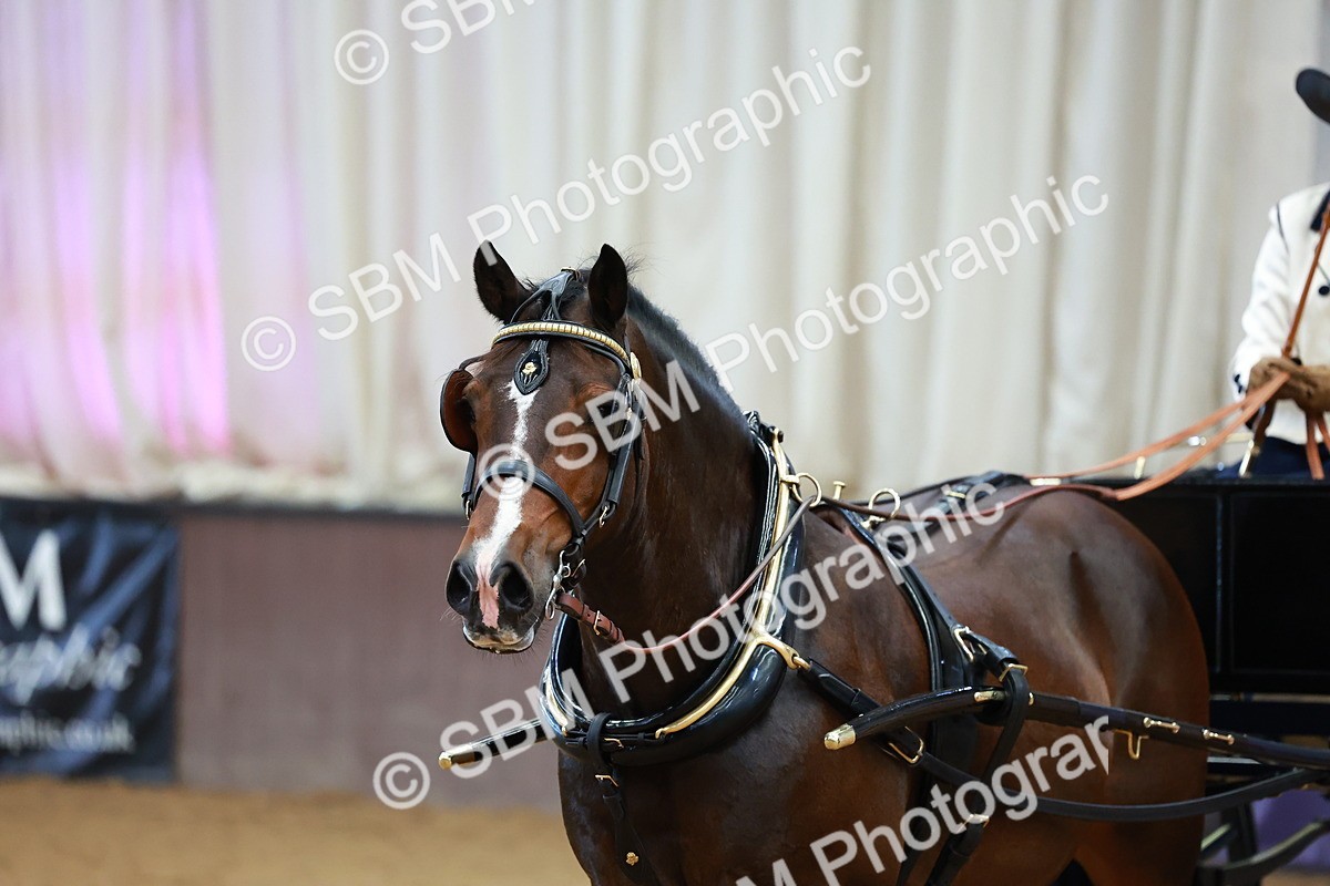 SBM_000187 - Class 3 - Alison Thomas Memorial Lady Whip