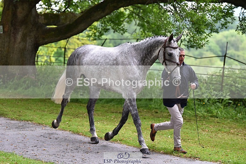 240522-152456-00324 - 354-COOLEY_STIRLING-Andrew_James