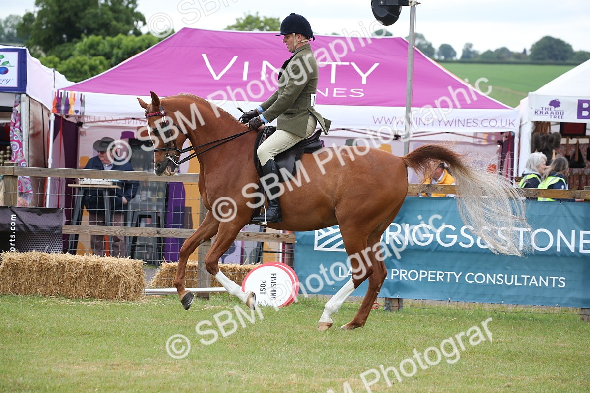 SBM_03630 - Class 21 - 22 - Ridden Arab and Part Bred/Anglo Arab