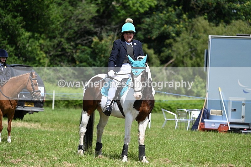 WJ7_1859 - Class 9 Pony Club Pony