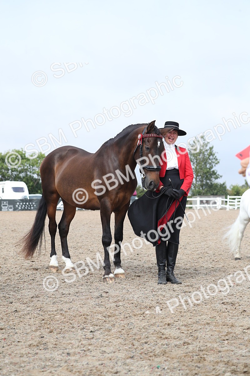 SBM_23174 - Class 605 - 2025 Area - IH Veteran
