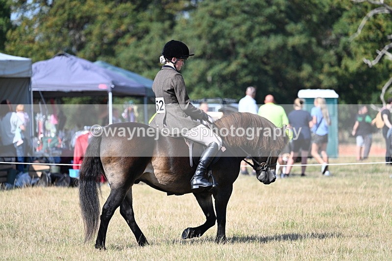 WJ7_3115 - Class 8 Ridden Tack & Turnout