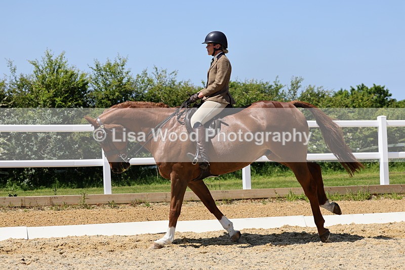 1X9A1899 - Class 12: Ridden Riding Horse/Hack