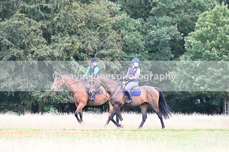 DSC_7839 - Time at Statue 13:16 to 13:52