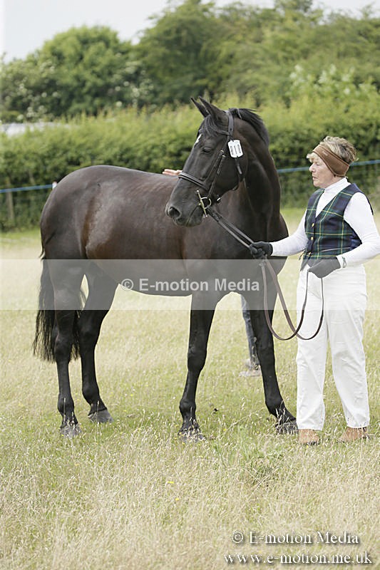 B230619-0578 - Bourne Valley Riding Club Summer Show 23/06/19
