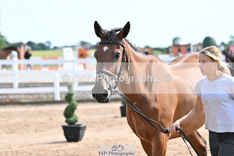 240717A-155348-03154 - Trot Up 3pm to 4pm