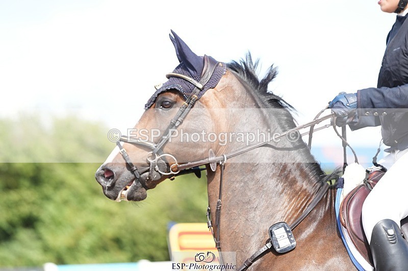 250720-102641-18783 - Cls 12, 1 Star Bronze Tour Accumulator