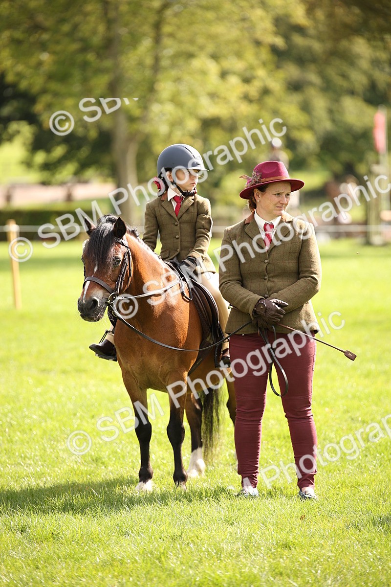 SBM_49982 - S26 - Young Veteran - Ridden