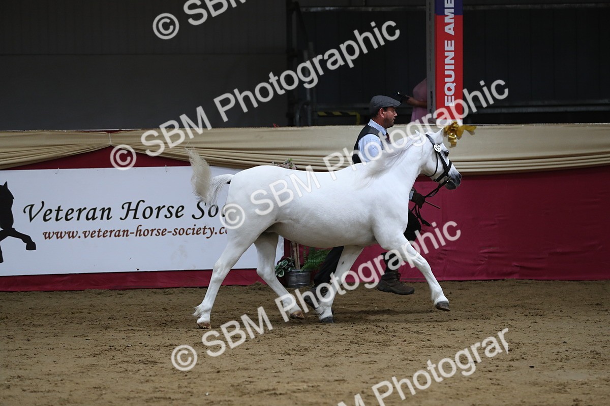 SBM_06343 - Class 9R Regional- IH Pre Vet