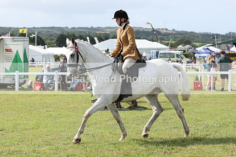 JPP_0915 - Class 16: Cornish Combination Young Rider