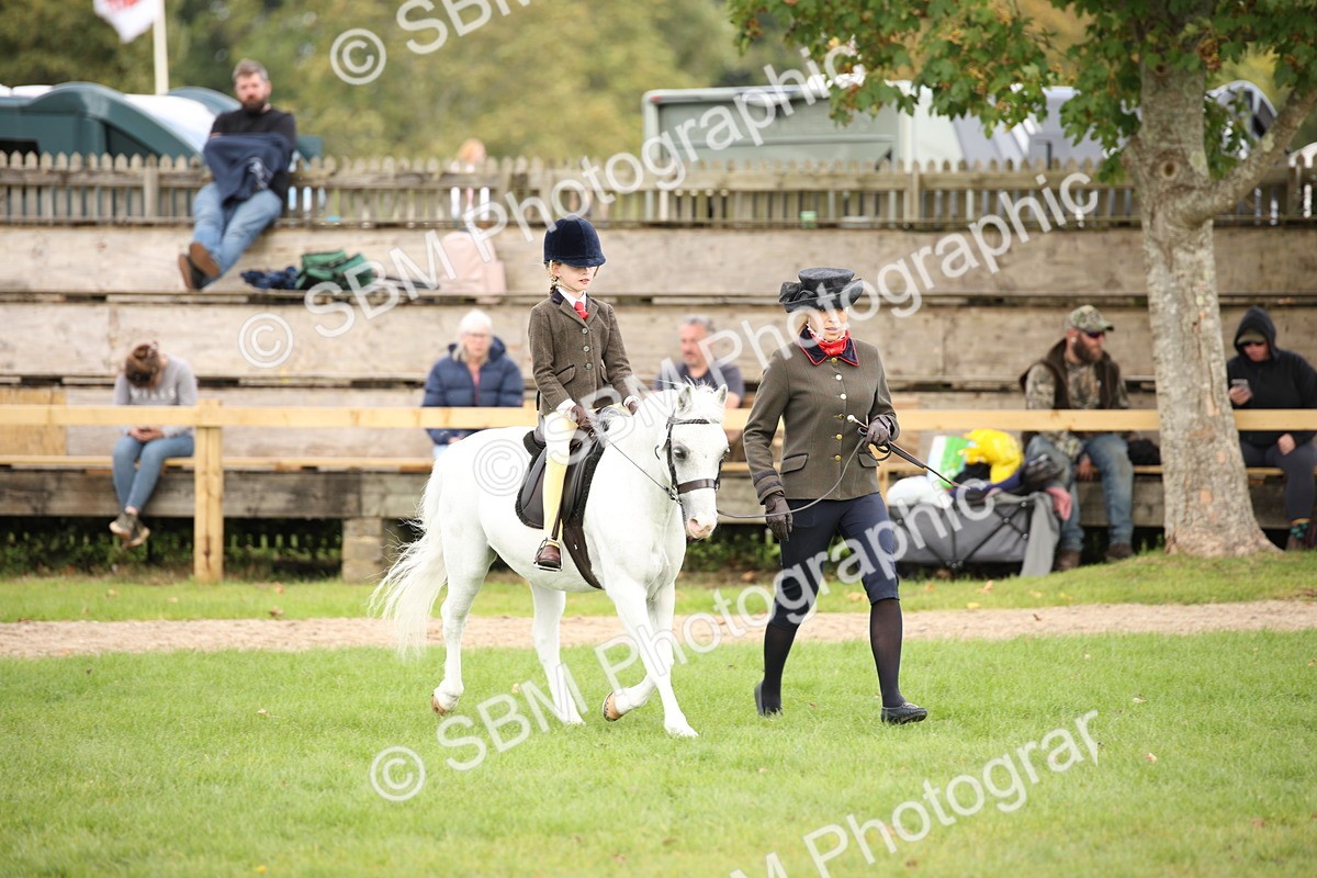 SBM_50010 - S26 - Young Veteran - Ridden