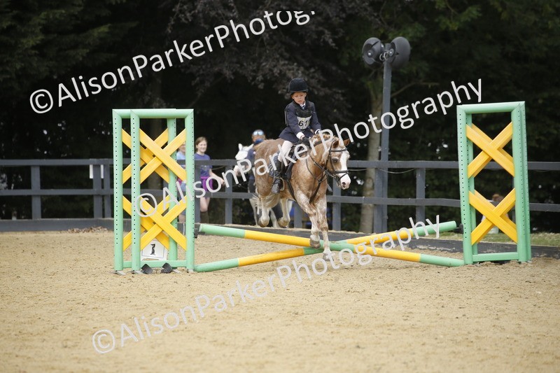 20250622-3800 - 50cm