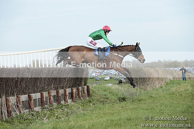 PtP 230319 365 - VWH Hunt Siddington Point-to-Point Racing 23/03/19