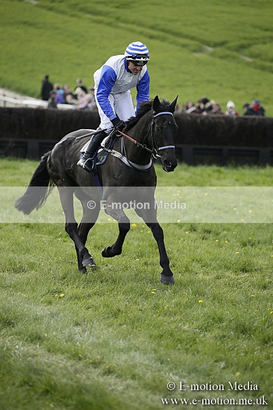 PtP 170417 402 - Old Berks Point-to-Point Lockinge 17/04/17