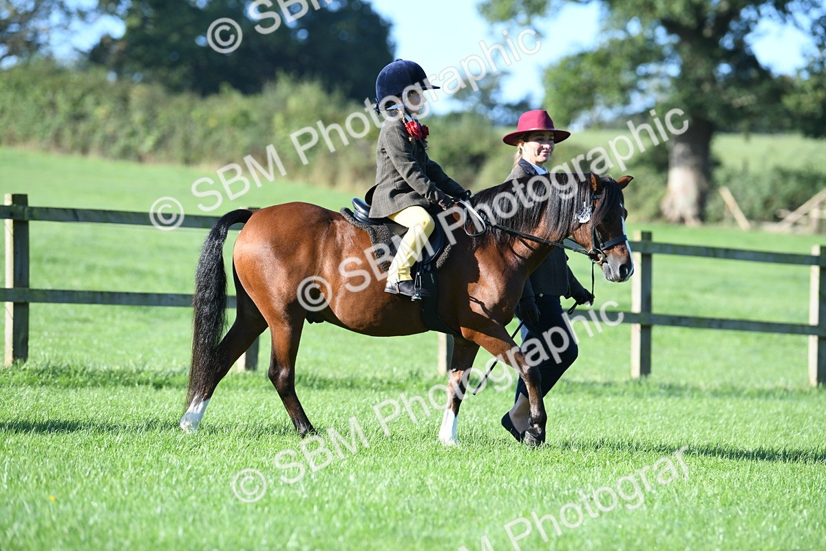 SBM_35287 - S17 - Condition & Turnout - Lead Rein