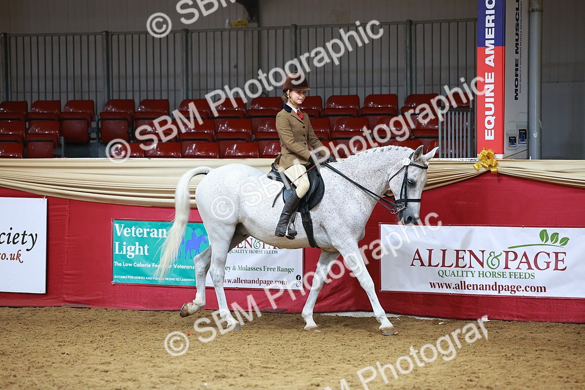 SBM_09338 - Class 102 - HOYS Veteran Qualifier - Ridden Veteran