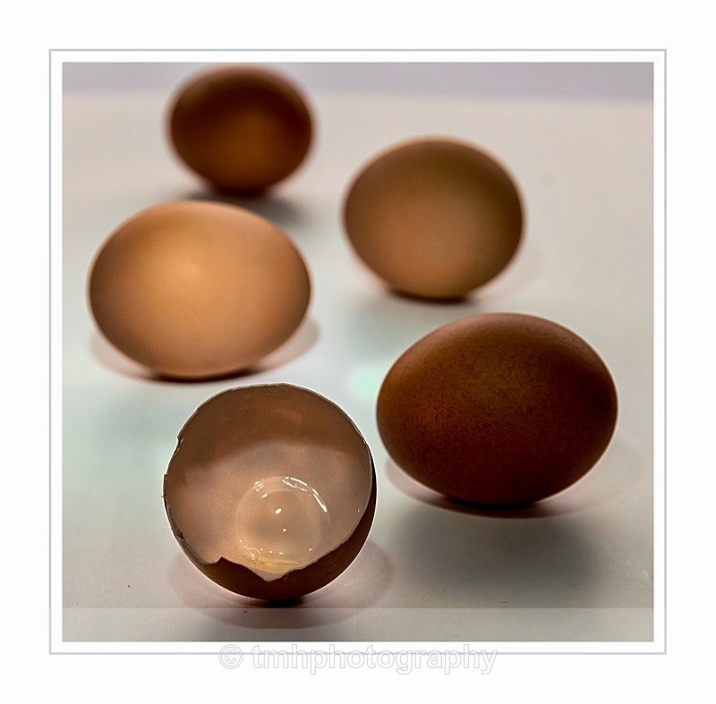 Egg Shell. - Still Life / Contemporay Art