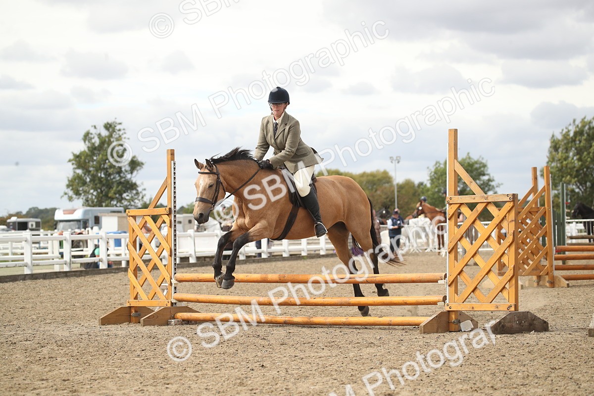 SBM_16597 - Class 507a - Working Veteran - 60cm (15-19)