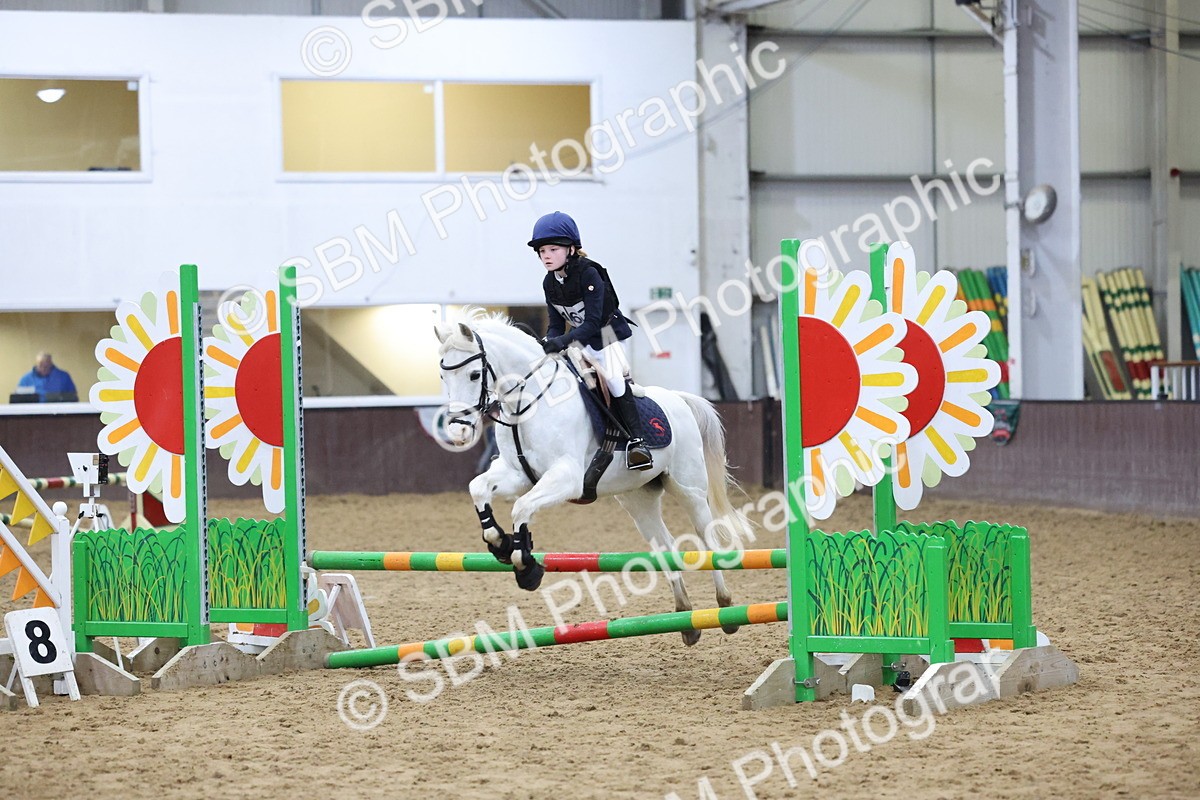 SBM_001013 - Class 3 - Christmas Tree Stakes - 60cm