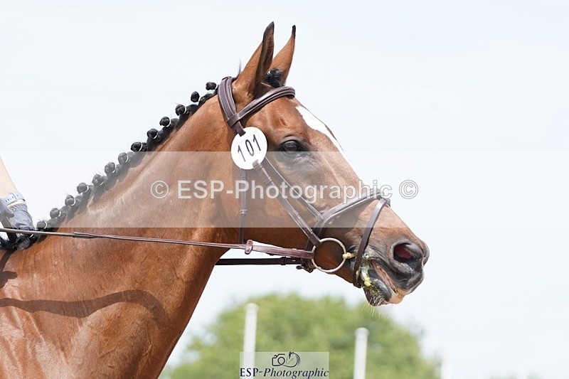 250621-130556-07556 - RoR Cls 2b-2c, Intro