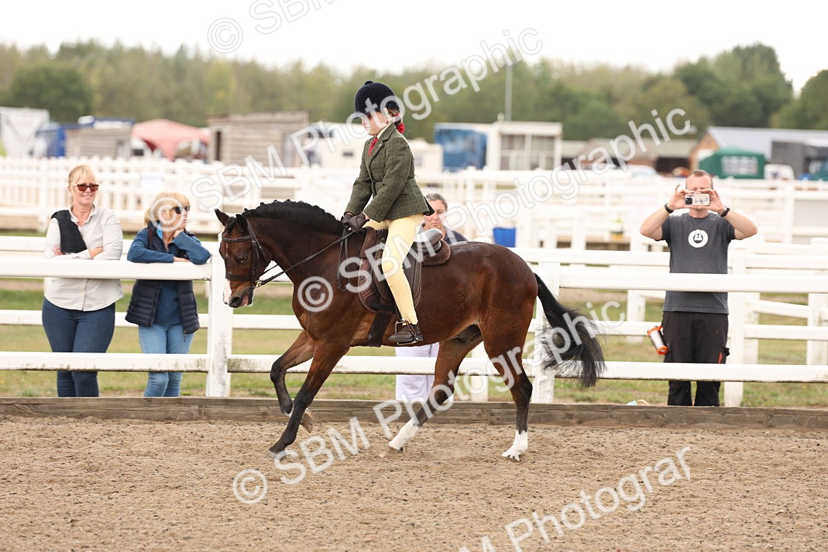 SBM_02898 - Class 53 - Ridden Competition Horse/Pony