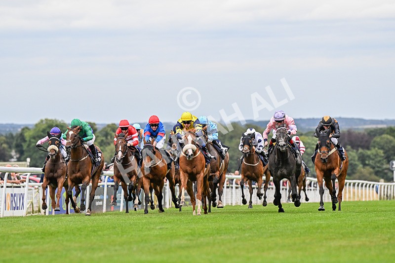 150824-Race 6-Captain Corelli-4417 - Race 6