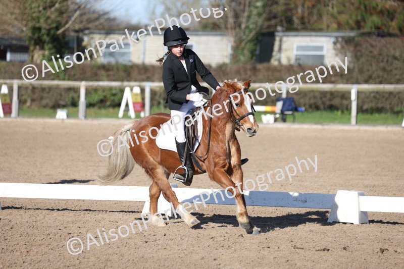 20260214-0286 - Class 3 - Prelim 2