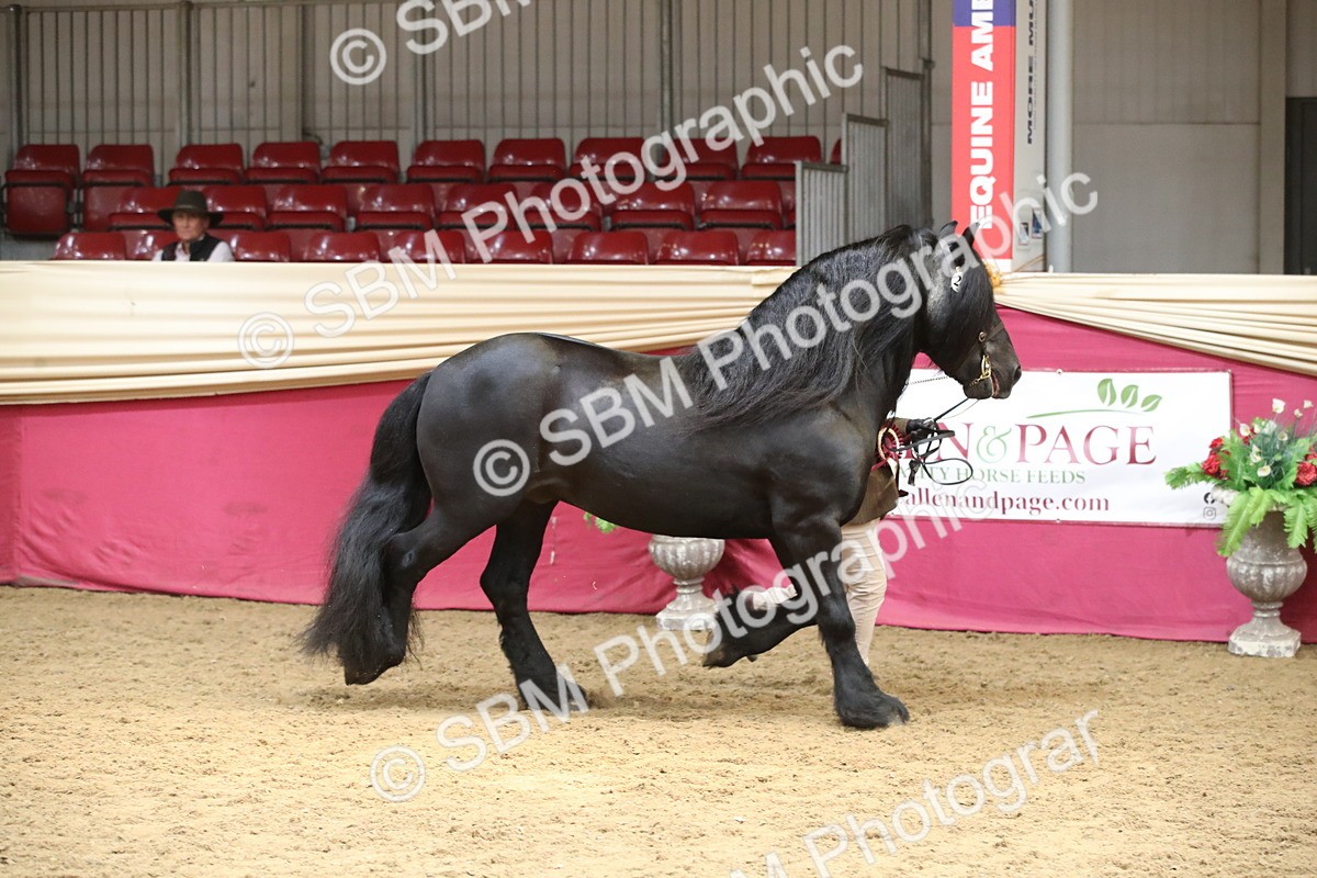 SBM_05456 - Class 8R - Regional IH Veteran
