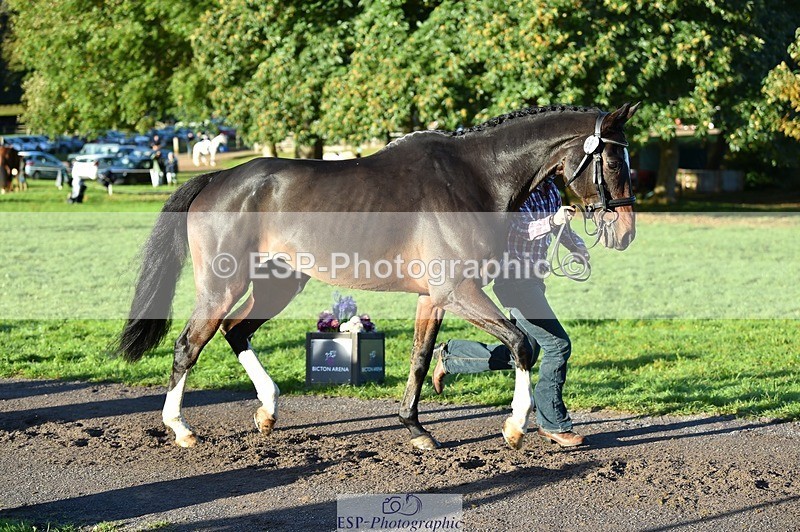 231022-092730-21801 - 685-ADRENALIN.II-Cosima.Atkinson-TrotUp+SJ